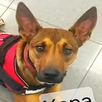 Xena